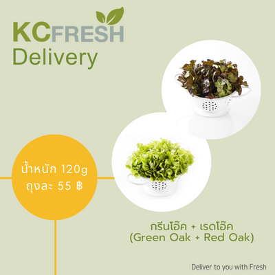 กรีนโอ๊ค+เรดโอ๊ค Green Oak + Red Oak 500g Main Image